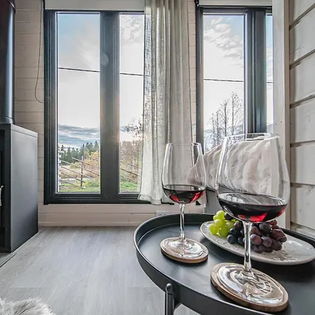 Chalet Hanki Levi